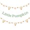 Big Dot of Happiness Little Pumpkin - Fall Birthday Party or Baby Shower Letter Banner Decoration 36 Banner Cutouts and Little Pumpkin Banner Letters